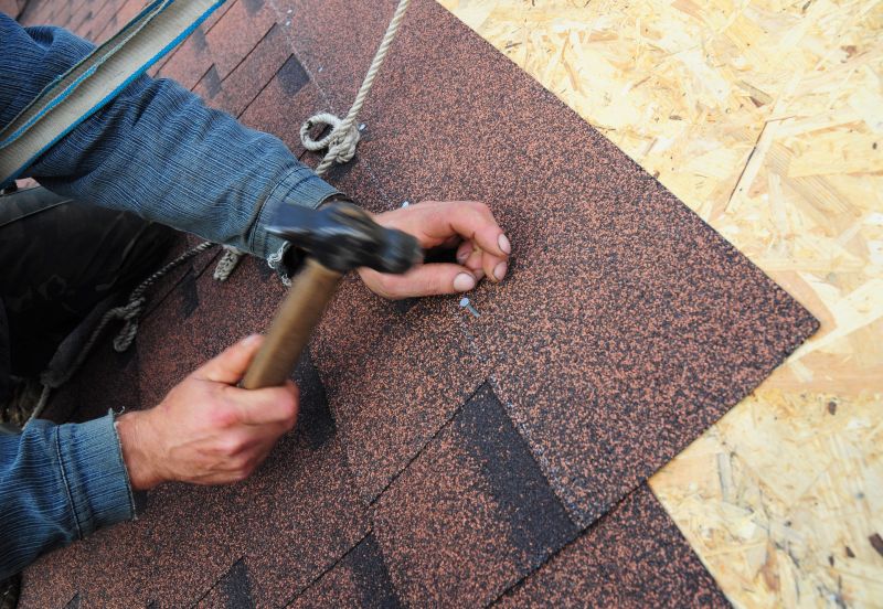 Asphalt Shingles Installation in Orange Park, FL