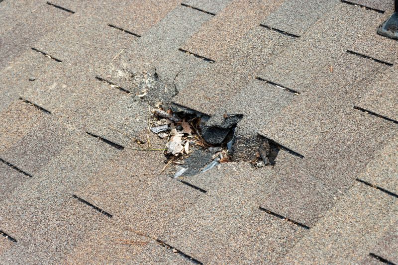 Damaged Roof Replacement in Baker County, FL